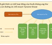 Khả năng ức chế enzym Tyrosine Kinase của các thuốc họ TKIs
